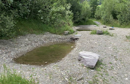 Neu erstellter Folienweiher