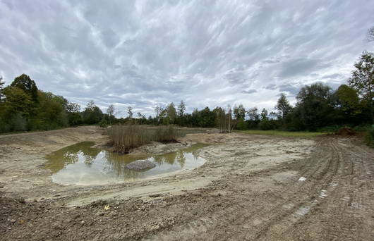 Espel Aufwertungsmassnahmen © Pro Natura St. Gallen-Appenzell