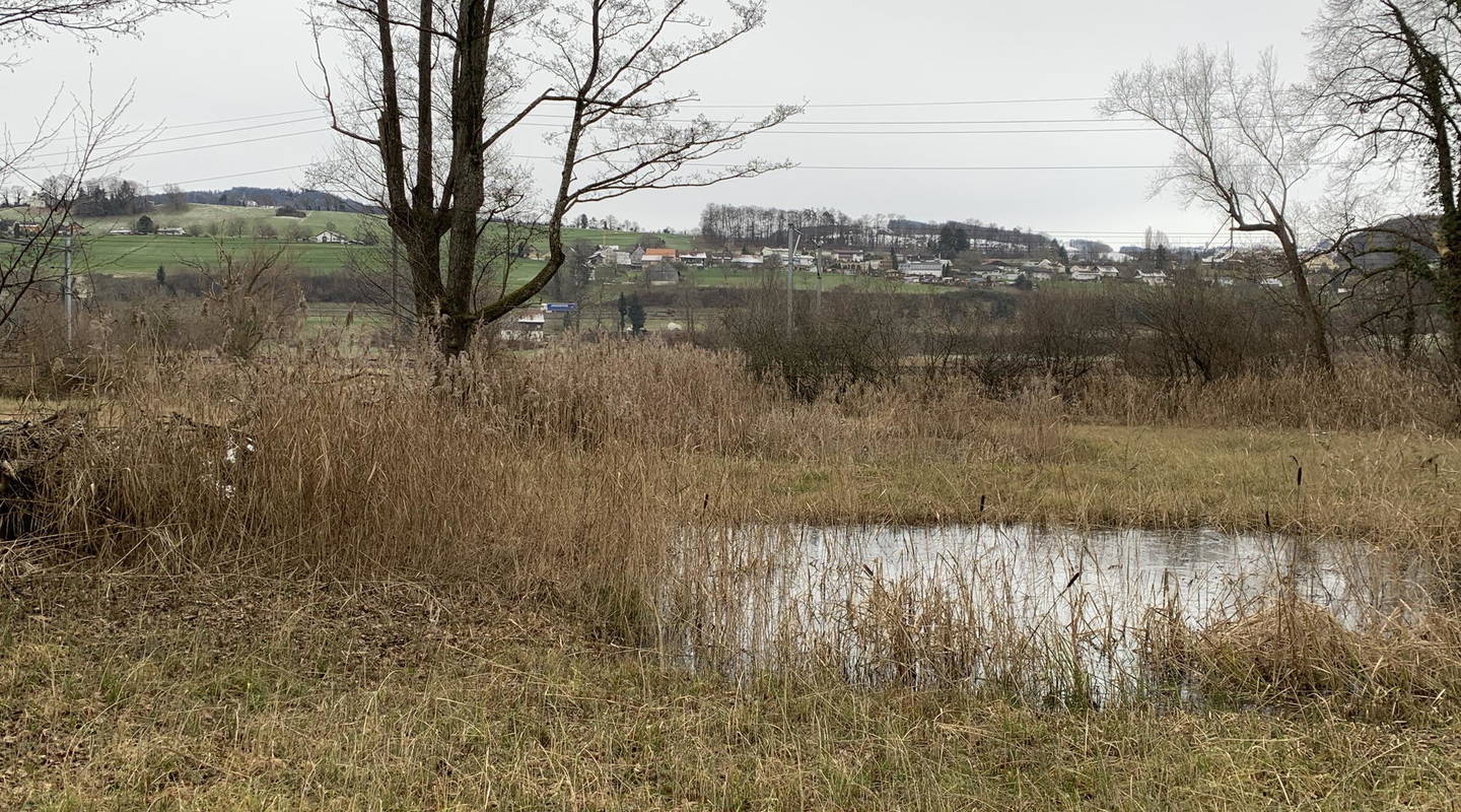 Buriet / Buechsee Pro Natura St.GallenAppenzell
