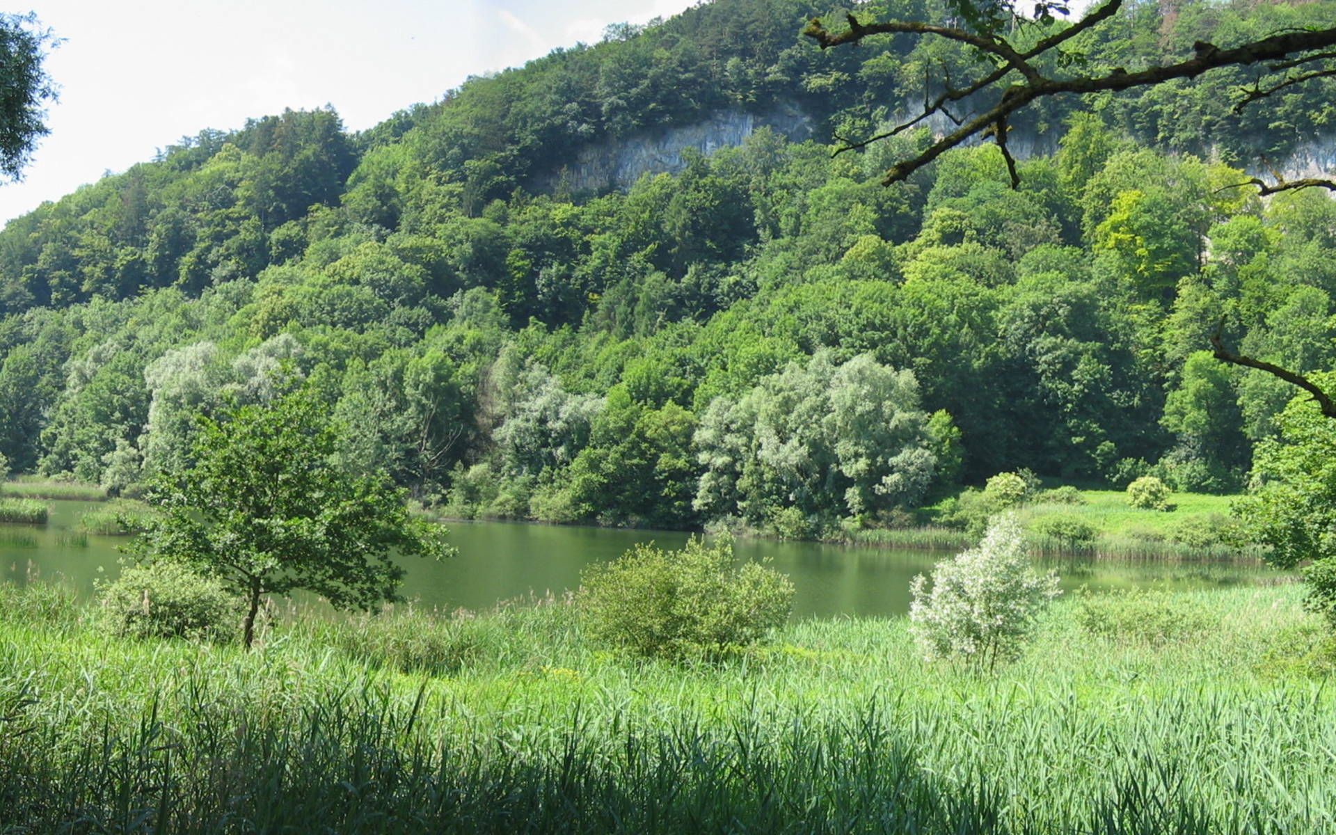 25036: Wichenstein, Oberriet