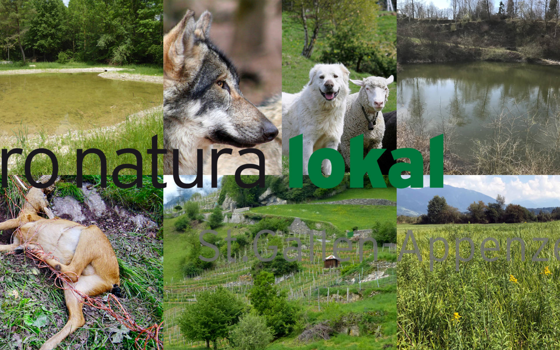pro natura lokal