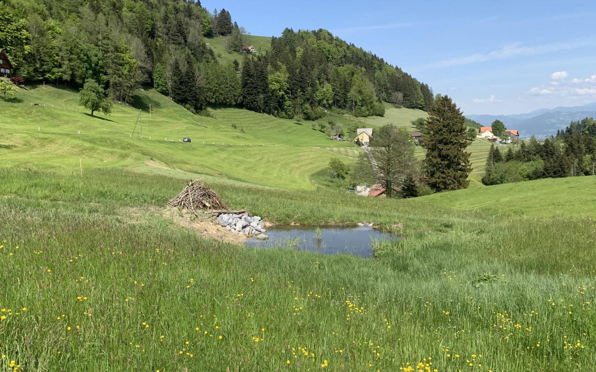 Parzelle 1030, Oberegg AI © Pro Natura St. Gallen-Appenzell