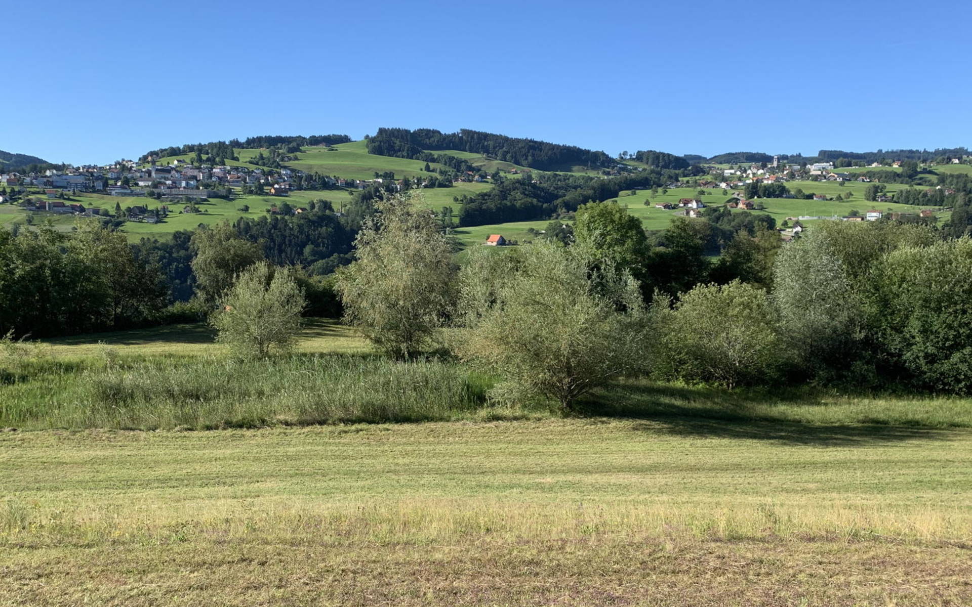 Verlandete Weiher Seebeli © Pro Natura St. Gallen-Appenzell