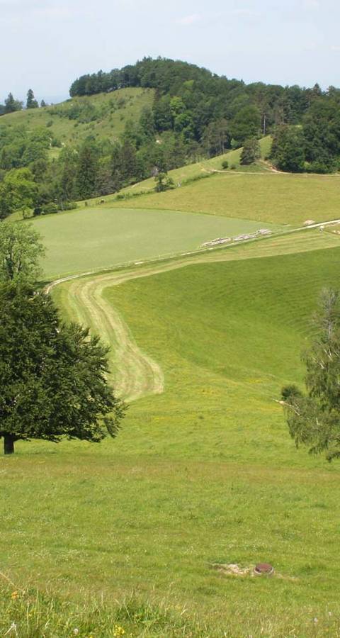 Alp Ergerten