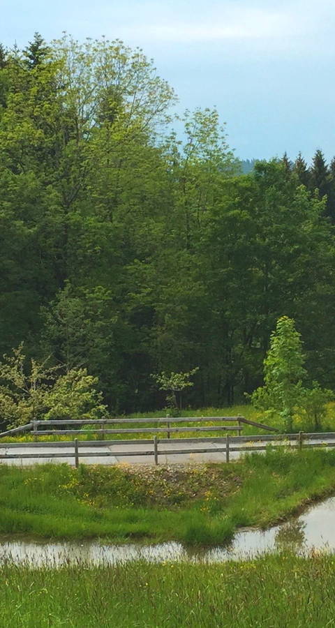 Ettenberg