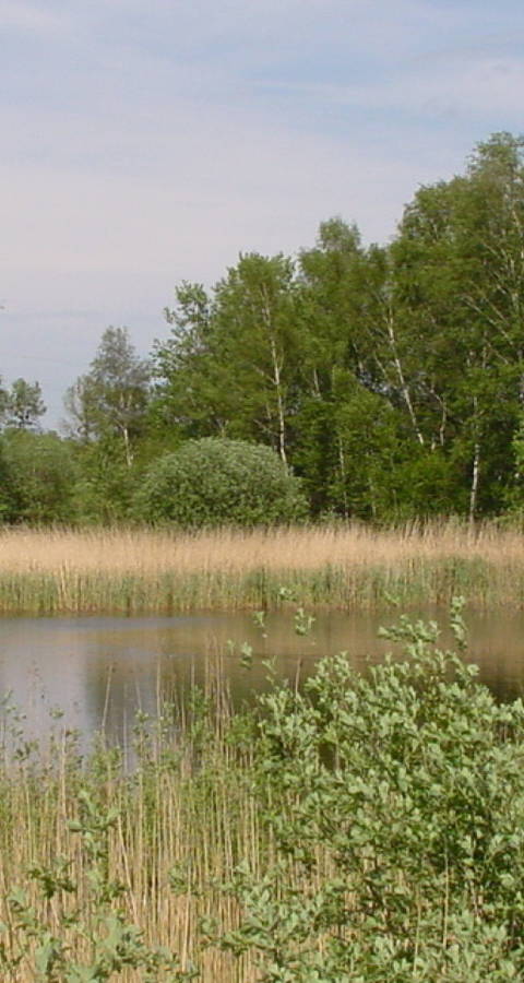 Hilpert