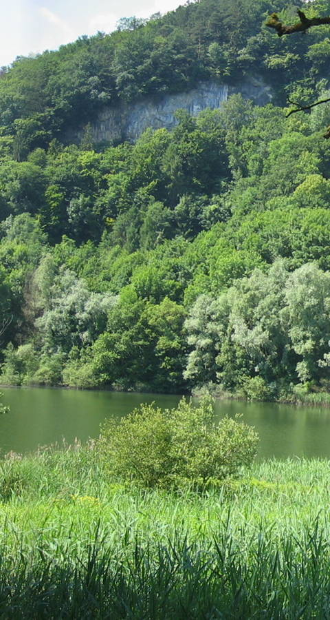 25036: Wichenstein, Oberriet