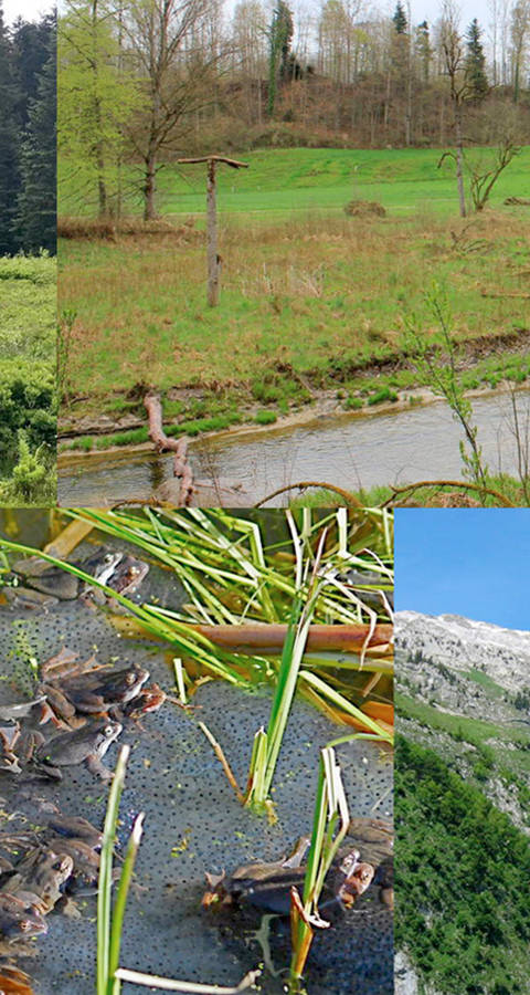 pro natura lokal 2/2021