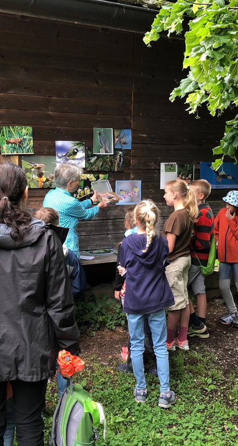 Kinderexkursion im Riet. Foto: Regula Bockstaller