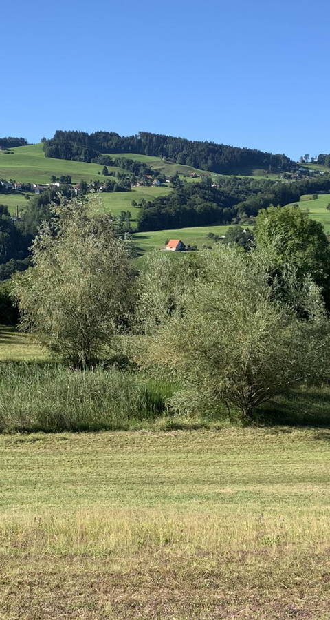 Verlandete Weiher Seebeli
