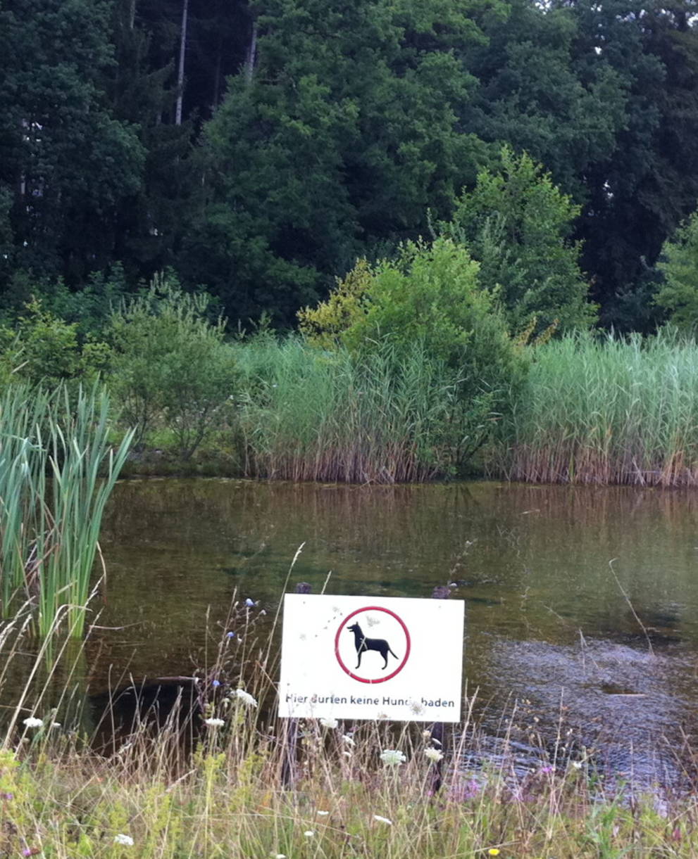 Weiher Täschen