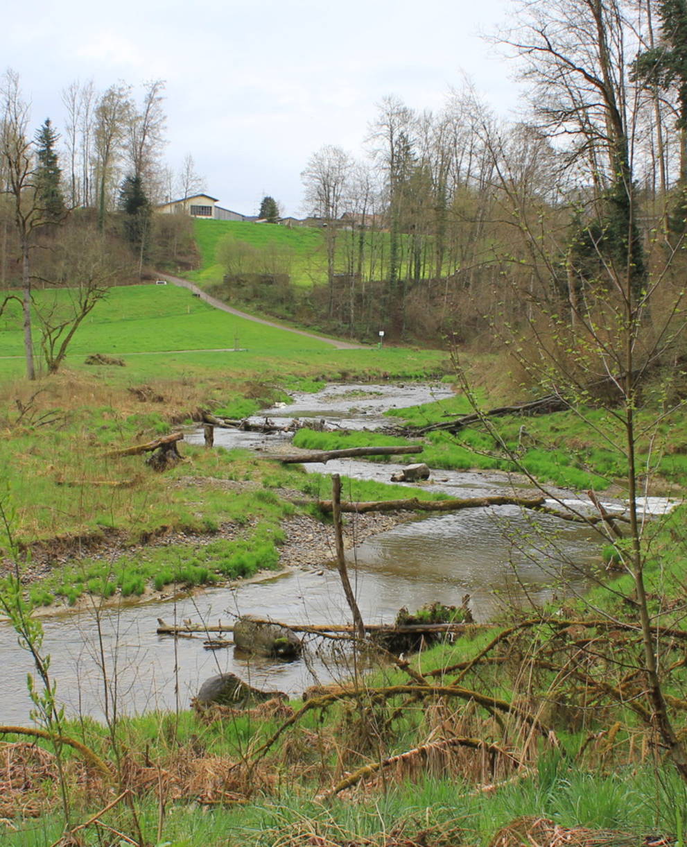 Kanton St.Gallen