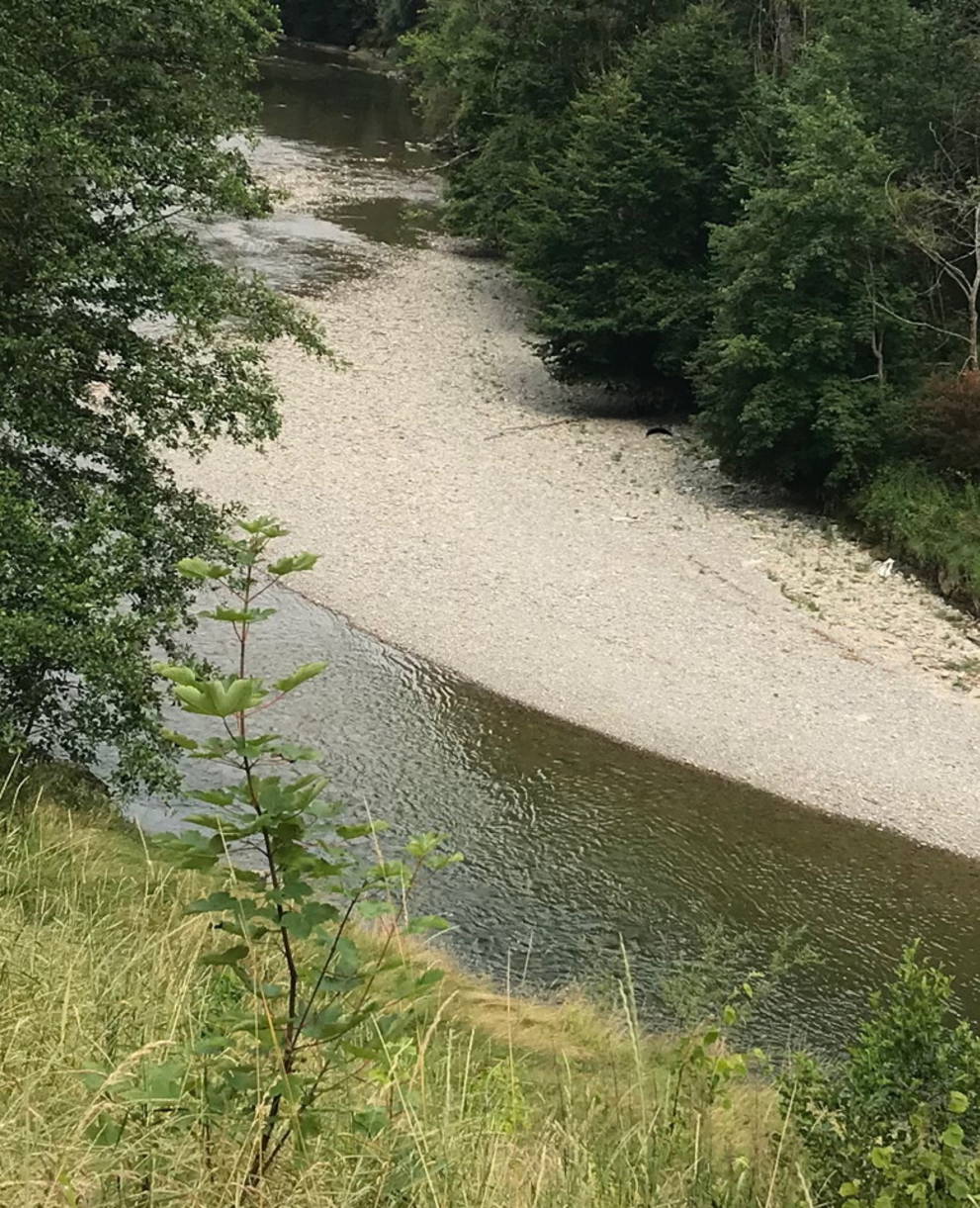 Amphibienlebensräume entlang der Sitter