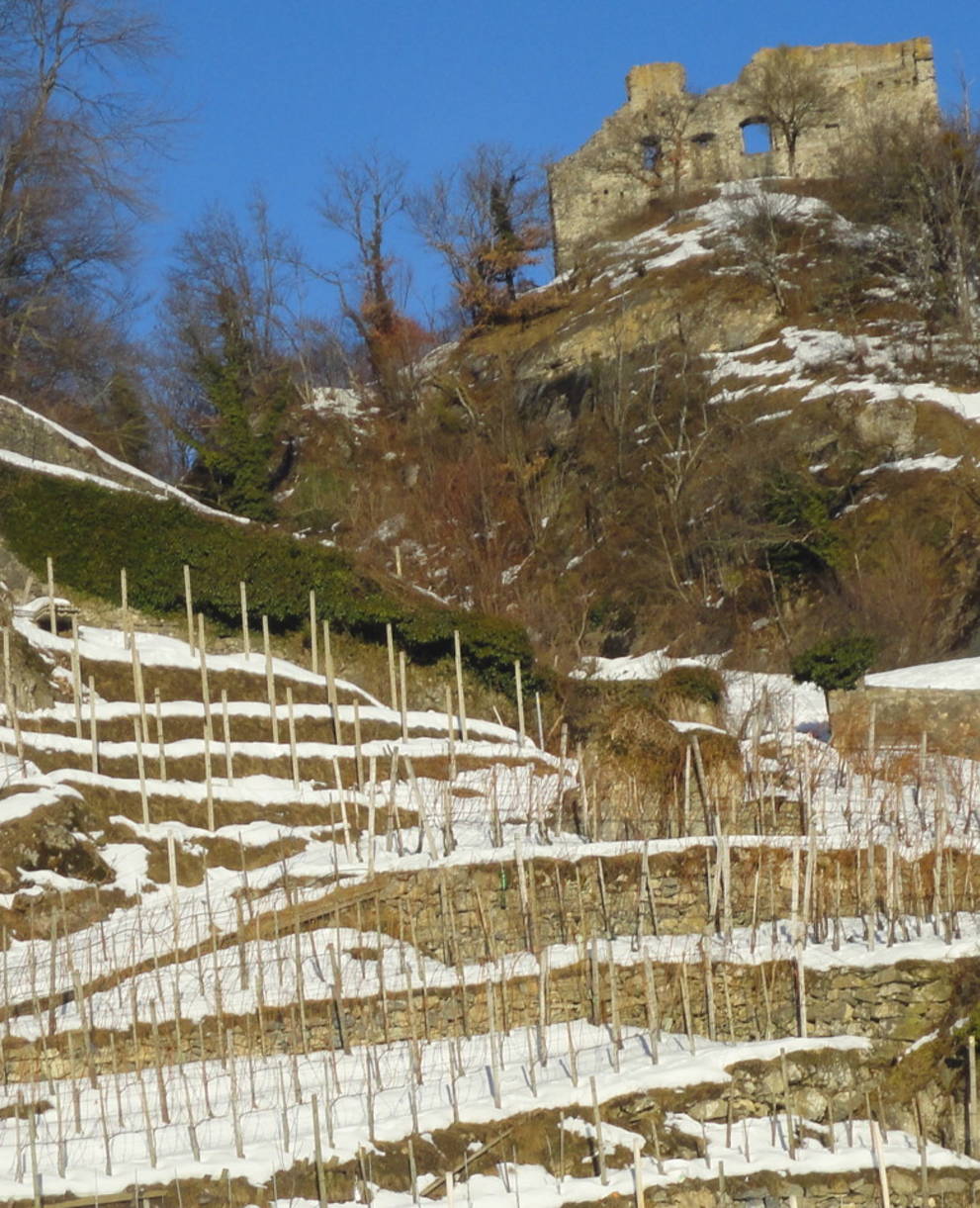 Trockensteinmauern in der Porta Romana