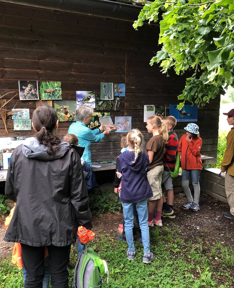 Kinderexkursion im Riet. Foto: Regula Bockstaller