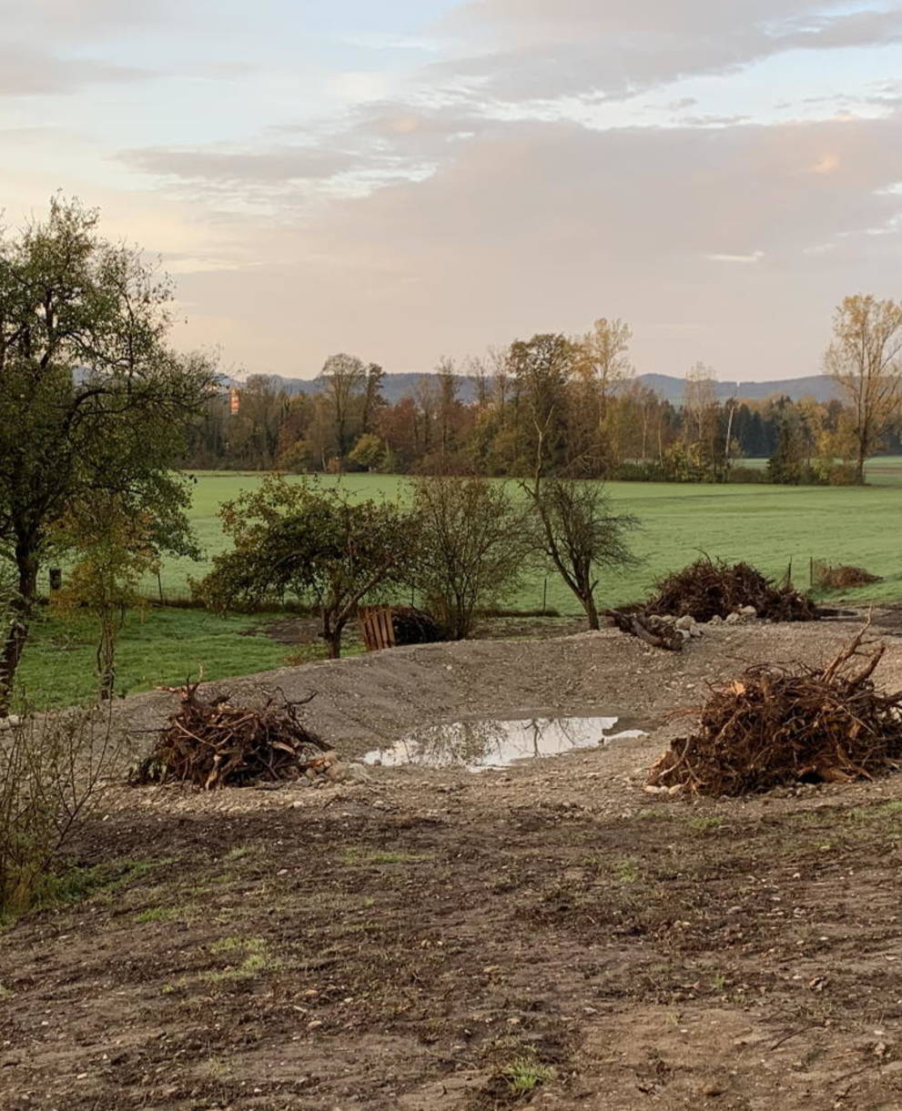 Blick auf die aufgewertete Parzelle
