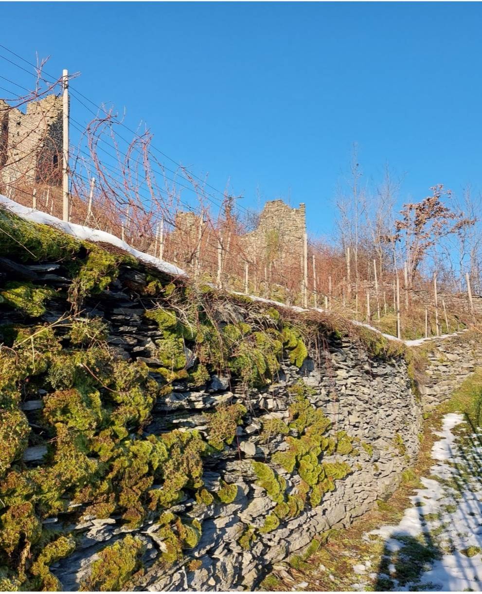 Trockensteinmauer Freudenberg