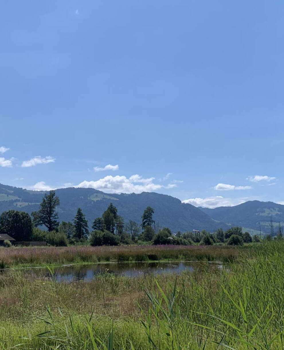 Kaltbrunner Riet