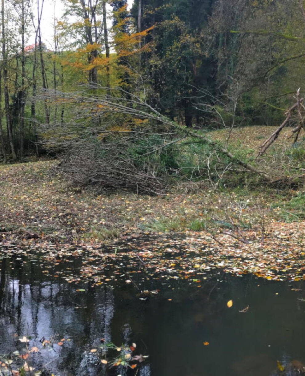 Schutzgebiet Gehrn, Heiden AR
