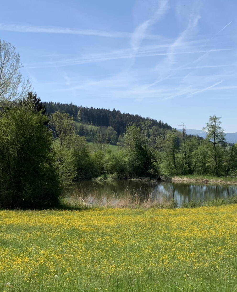Hohfirst Weiher, Waldkirch SG