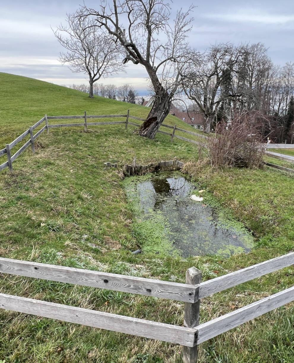Weiher Hub vor Sanierung