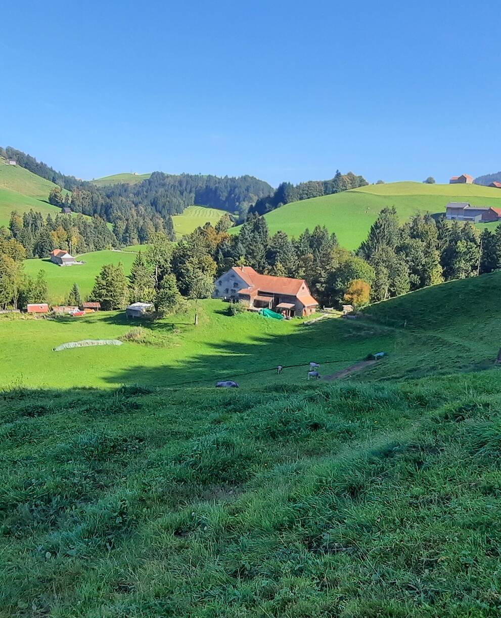 Ausblick über das Schutzgebiet Äschenwies