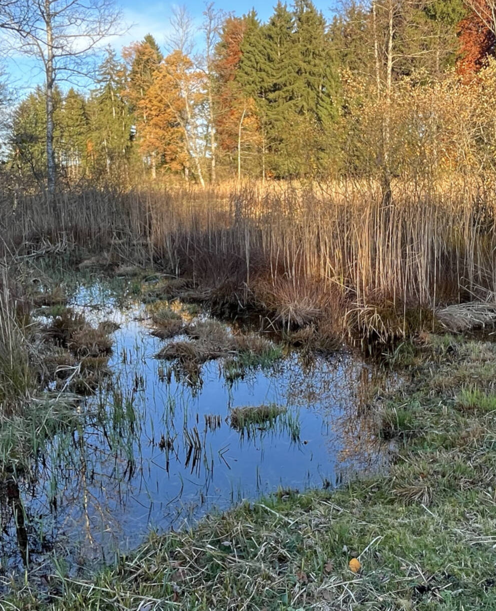 Blick aufs Schutzgebiet