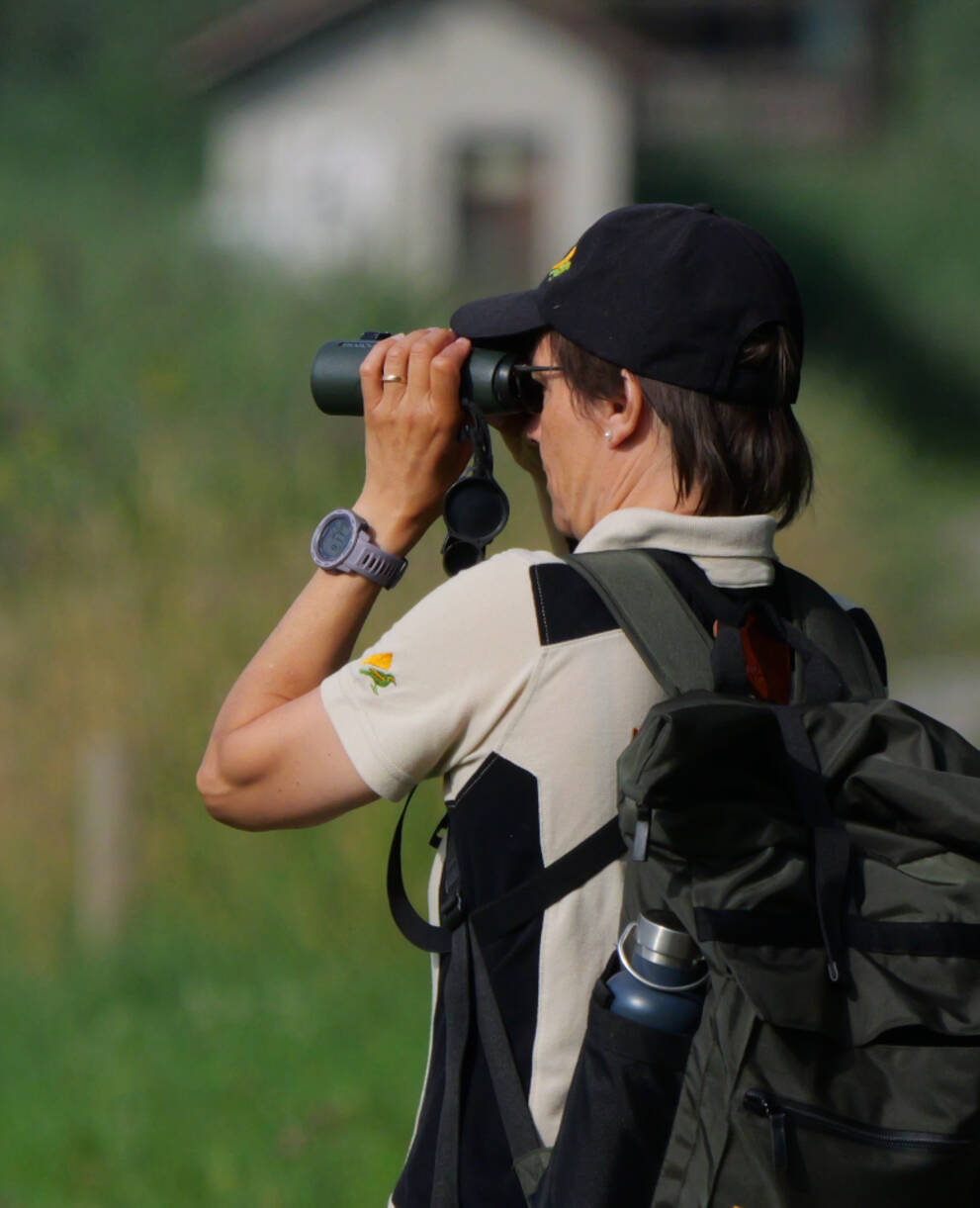 Rangerin beobachtet mit Feldstecher