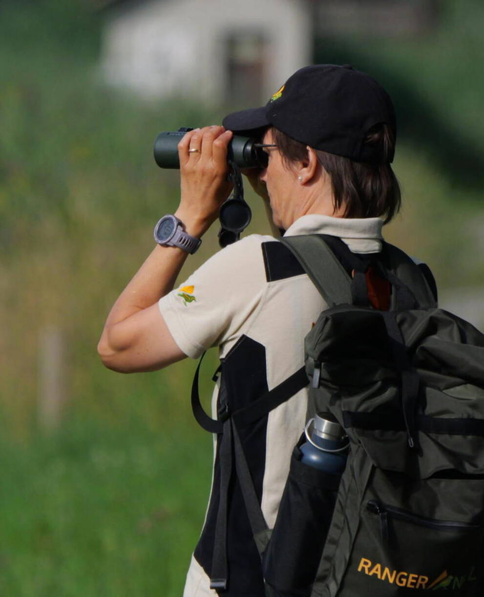 Rangerin mit Feldstecher
