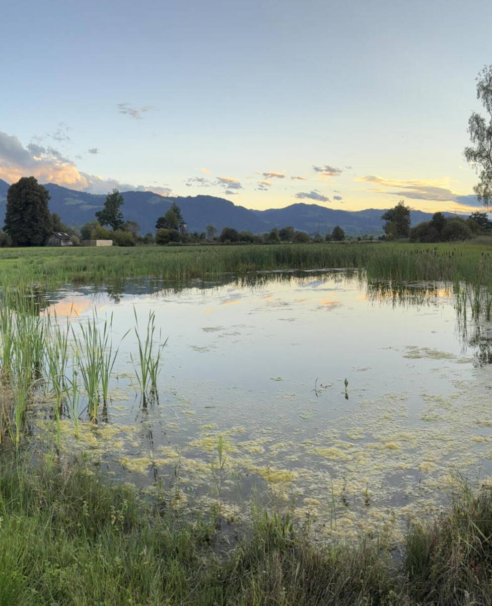 Blick auf die Flutwiese