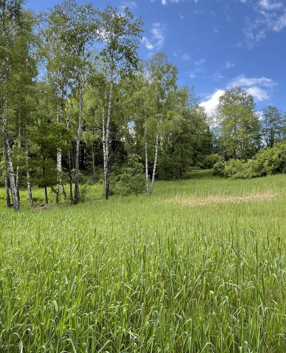 Schutzgebiet Ischnitt