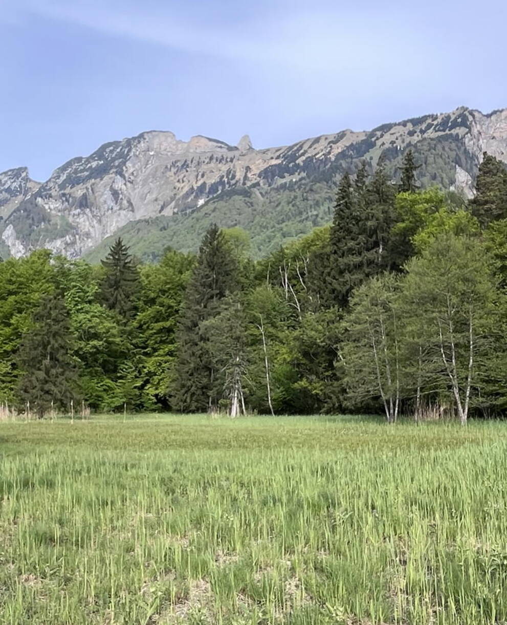 Schutzgebiet Egelsee, Sennwald SG