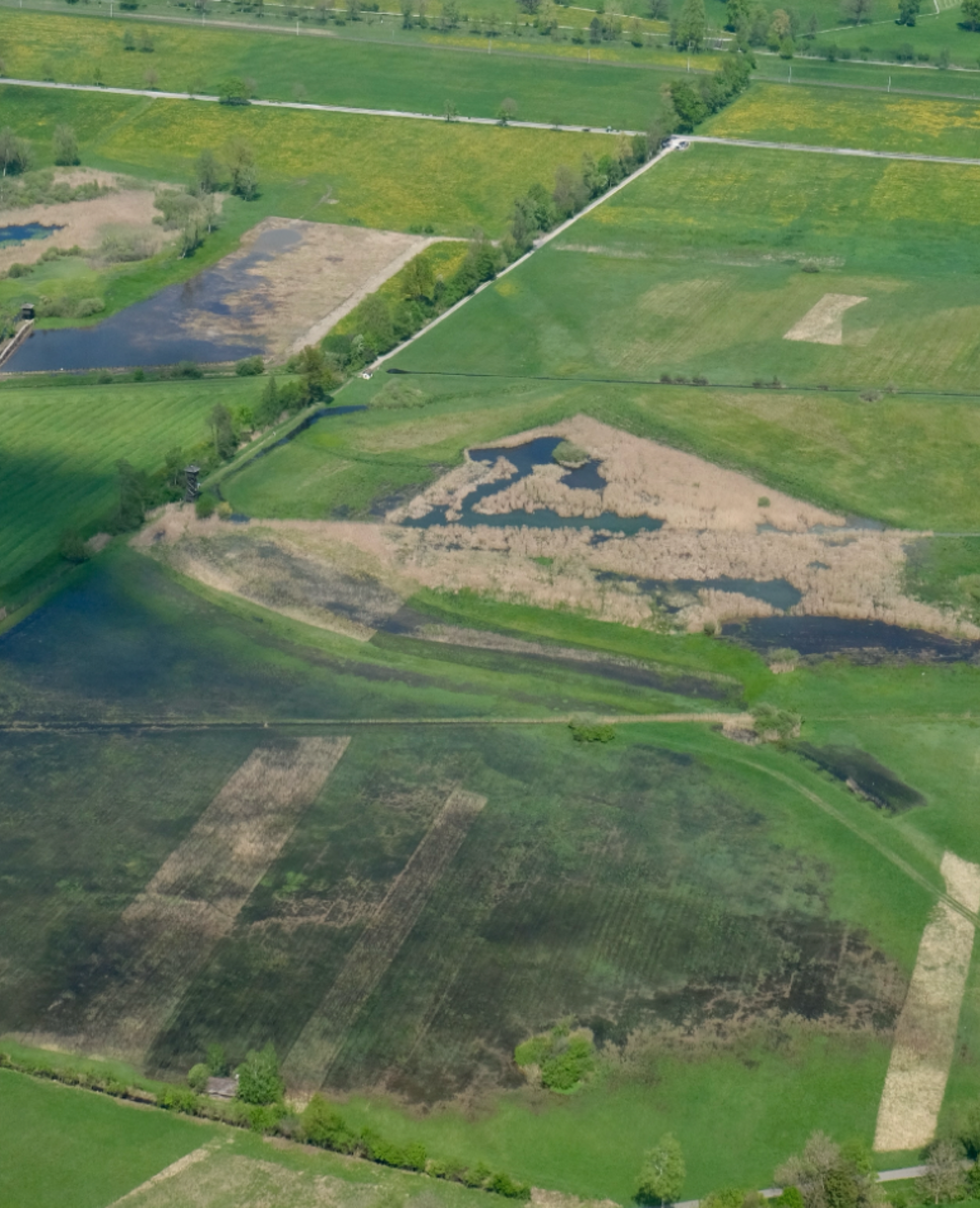 Blick auf das Kaltbrunner Riet