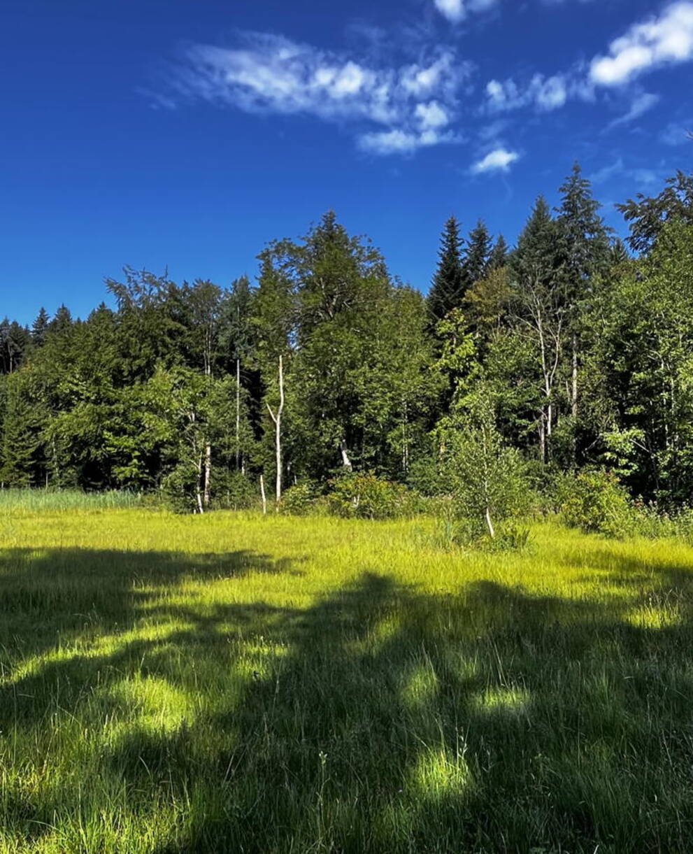 Schutzgebiet Arnegger Witi / Altmoos, Gossau SG