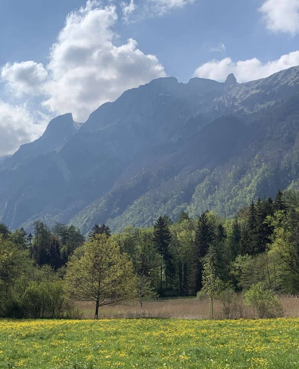 Das Schutzgebiet Egelsee vor dem Alpsteinmassiv