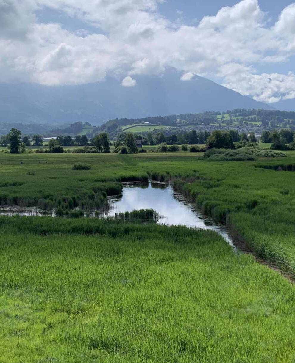 Das Kaltbrunner Riet: Ein Ort der Ruhe und Erholung
