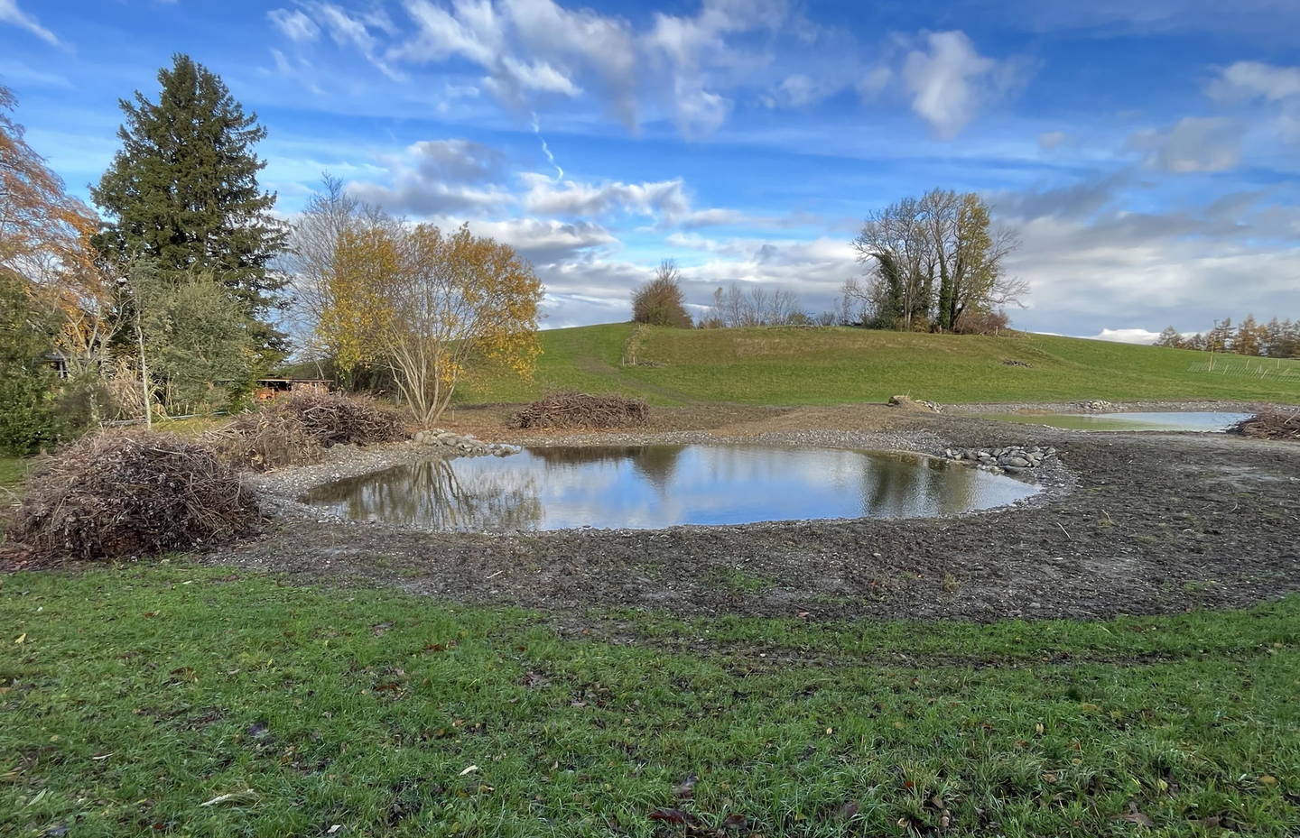 Weiher Seebeli nach Sanierung