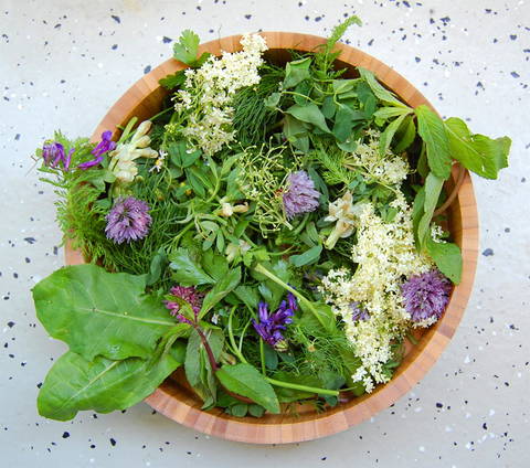 Wildkräuter  © Wikimedia Commons, Smoothie Mixer