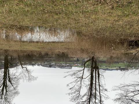 Schutzgebiet Buriet/Buechsee, Thal SG © Pro Natura St.Gallen-Appenzell