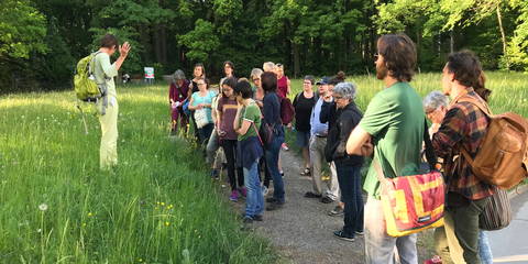 Essbare Wildkräuter – kennenlernen und geniessen mit Wildkräuter-Fachfrau und Köchin Marianna Buser. © Pro Natura St. Gallen-Appenzell, Pia Hollenstein
